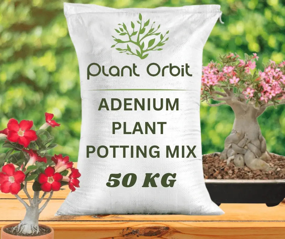 adenium plant potting mix Adenium Plant Potting Mix (50 Kg) – Plant Orbit