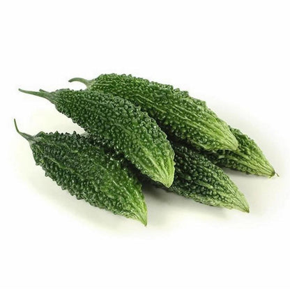 BITTER GOURD DESI VEGETABLE SEEDS (15 seeds) plant-orbit
