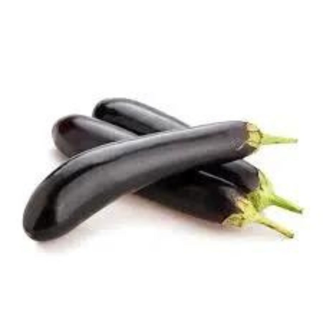 BRINJAL (LONG) HYBRID SEEDS (50 seeds) plant-orbit