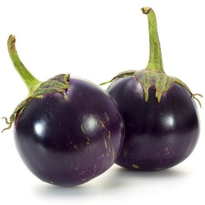 BRINJAL (ROUND) DESI VEGETABLE SEEDS (50 seeds) plant-orbit