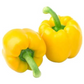 CAPSICUM (YELLOW) HYBRID SEEDS (20 seeds) plant-orbit