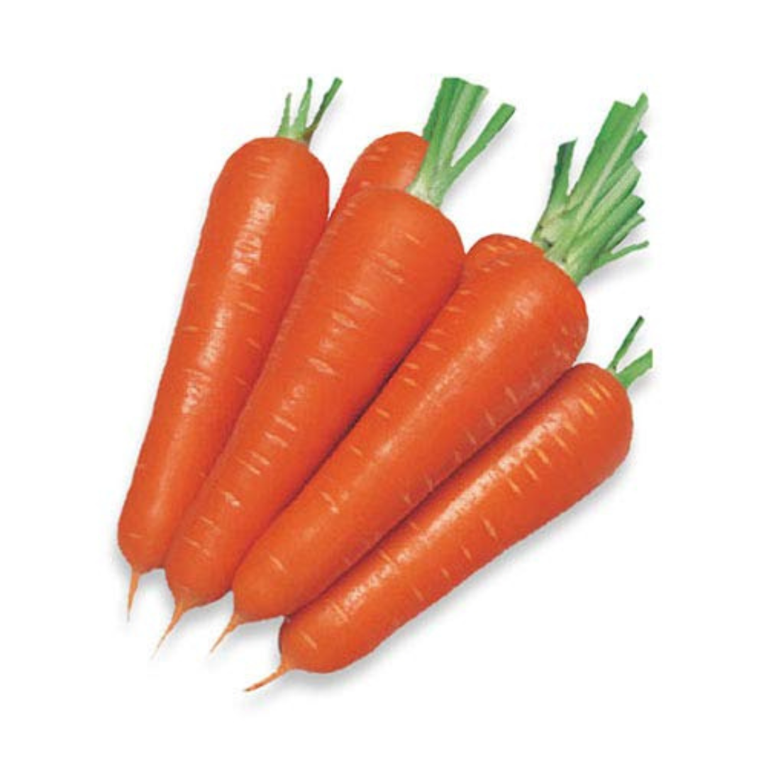 CARROT DESI VEGETABLE SEEDS (50 seeds) plant-orbit