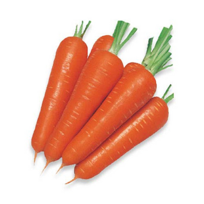CARROT DESI VEGETABLE SEEDS (50 seeds) plant-orbit