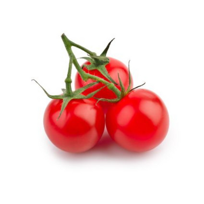 CHERRY TOMATO RED HYBRID SEEDS (40 seeds) plant-orbit