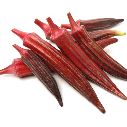 LADY FINGER RED HYBRID SEEDS (15 seeds) plant-orbit