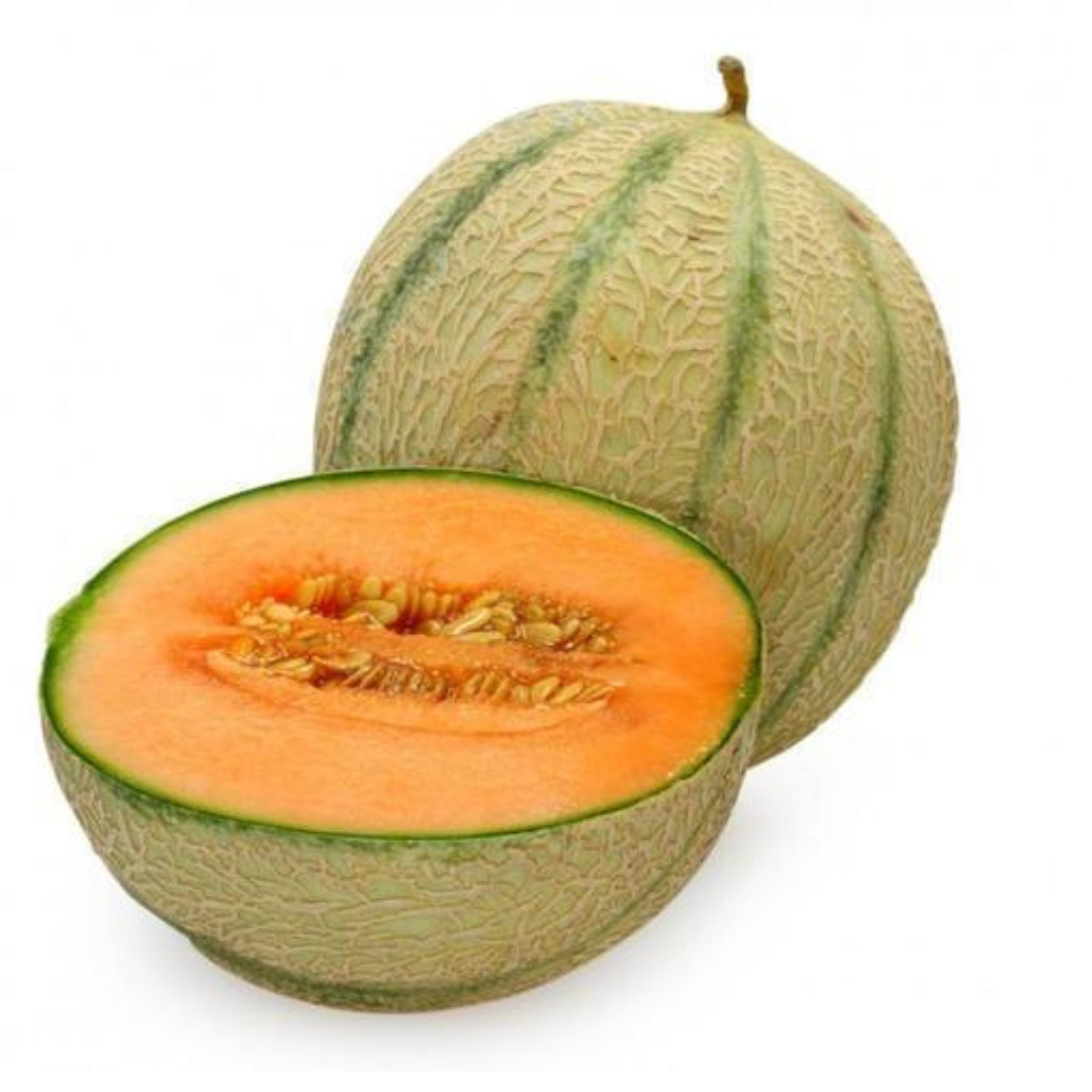 MUSKMELON ( KHARBOOJ ) HYBRID SEEDS (50 seeds) plant-orbit