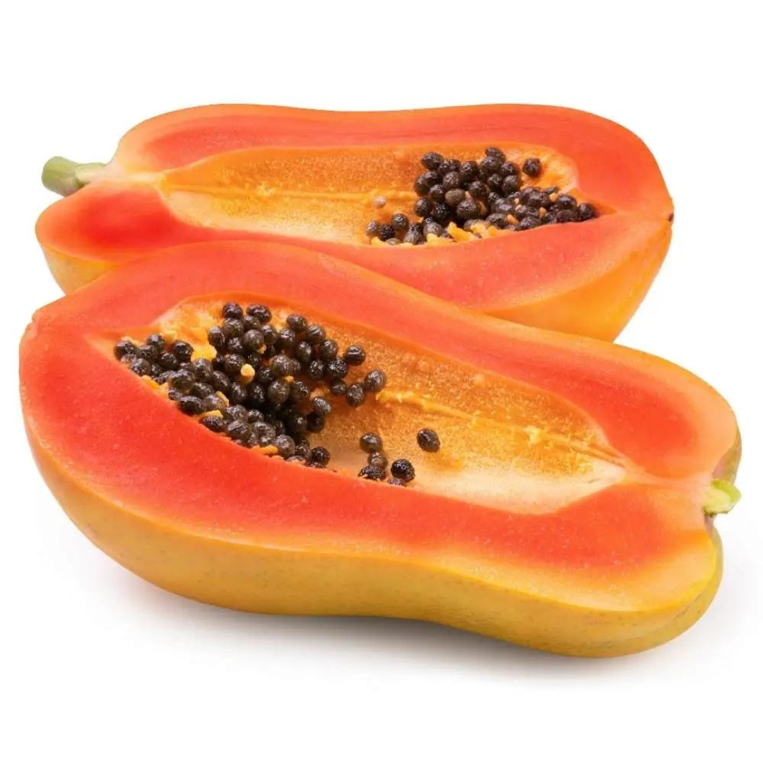 PAPAYA HYBRID SEEDS (25-30 seeds) plant-orbit