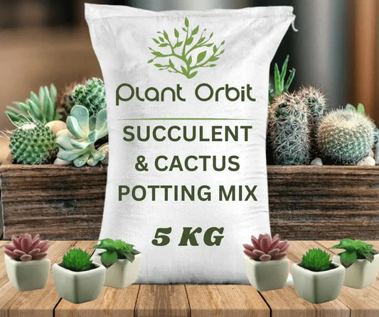Succulent & Cactus Potting Mix Online