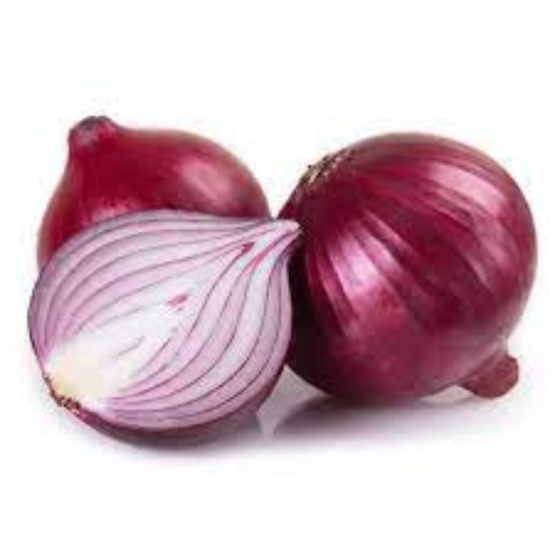 ONION HYBRID SEEDS (50 seeds) plant-orbit