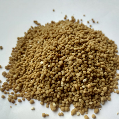 DAP ( 20 g )
