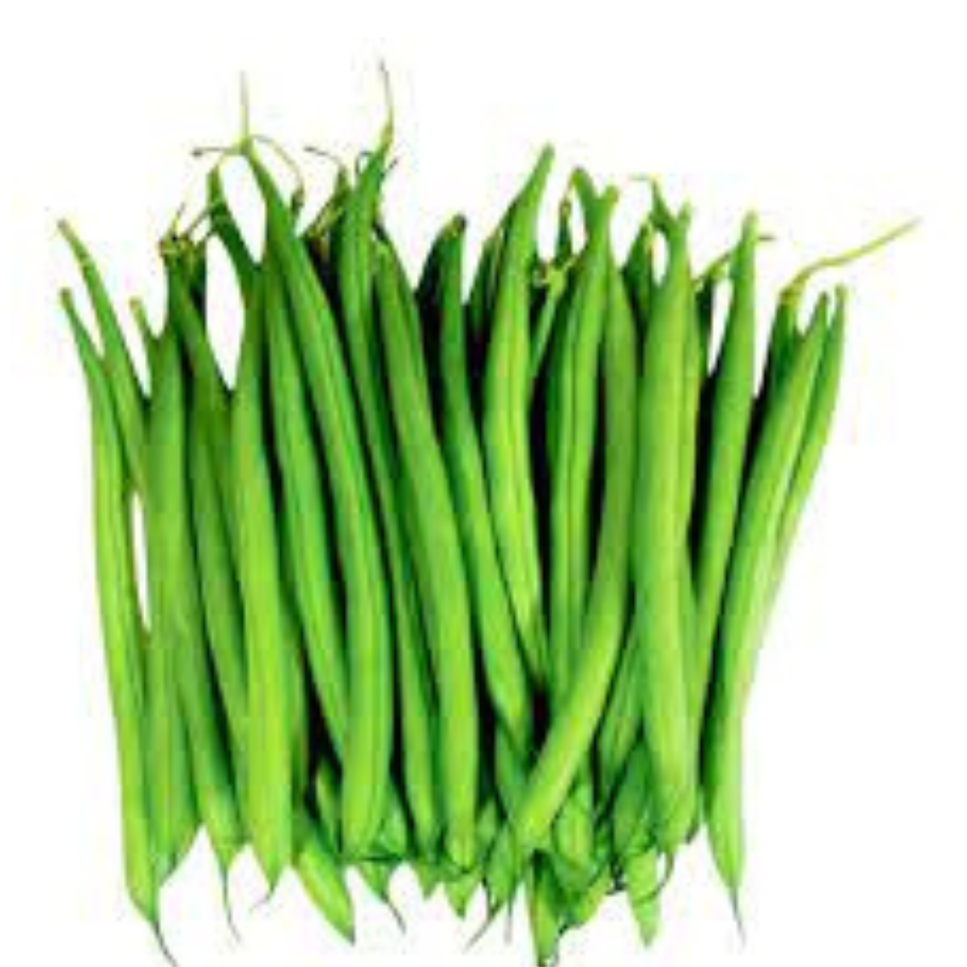 FRENCH BEANS / FRASH PHALLI HYBRID SEEDS (20 seeds) plant-orbit