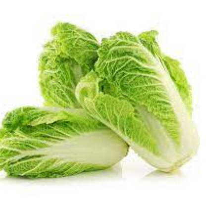 CHINESE CABBAGE HYBRID SEEDS (40 seeds) plant-orbit