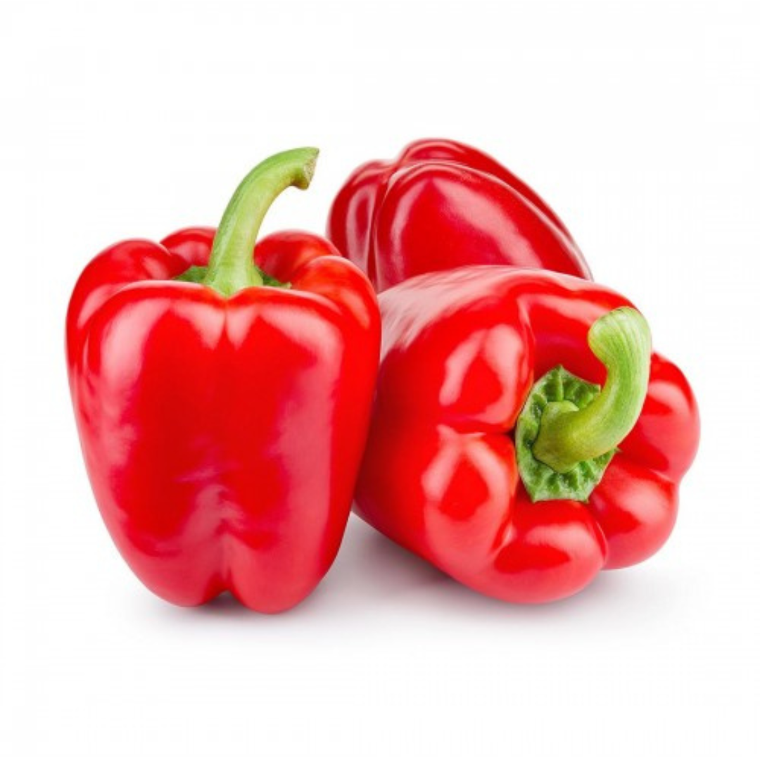 CAPSICUM (RED) HYBRID SEEDS (20 seeds) plant-orbit