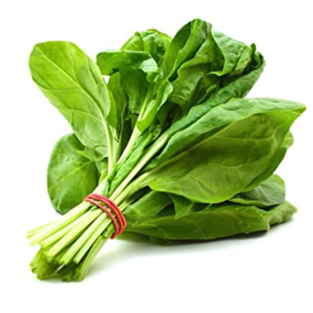 SPINACH (GREEN) HYBRID SEEDS (200 seeds) plant-orbit