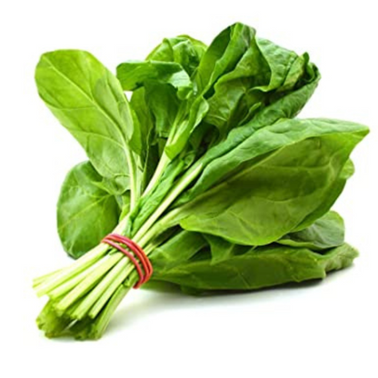 SPINACH (GREEN) DESI VEGETABLE SEEDS (200 seeds) plant-orbit