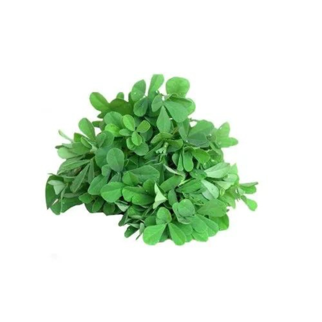 FENUGREEK LEAVES / METHI HYBRID SEEDS (200 seeds) plant-orbit