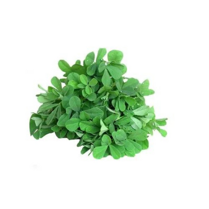 FENUGREEK LEAVES / METHI HYBRID SEEDS (200 seeds) plant-orbit