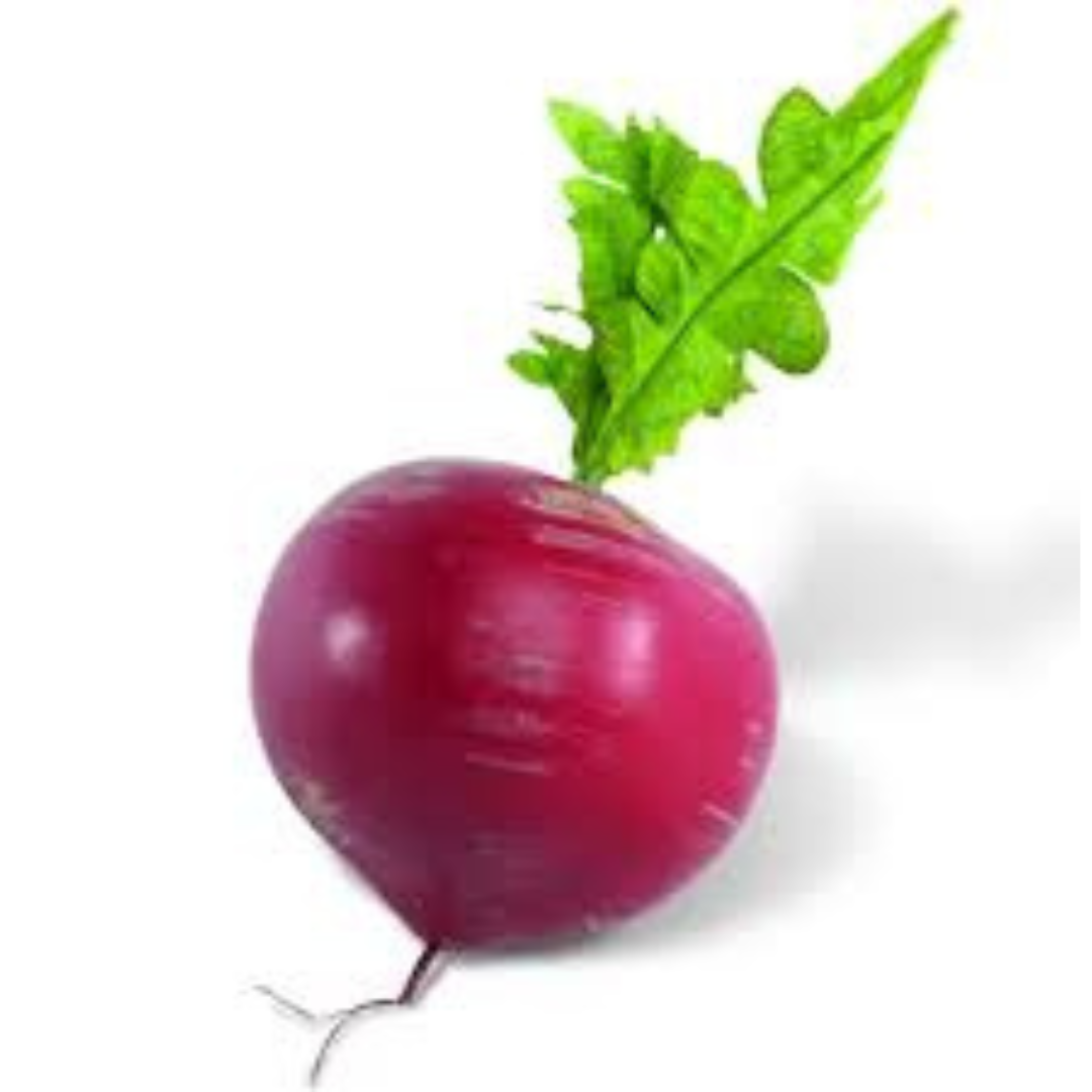 TURNIP RED DESI VEGETABLE SEEDS (50 seeds) plant-orbit